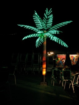 Electric palm