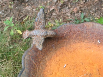 Bird bath with petrified bird