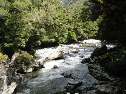 Rapids above the Chasm