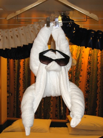 Towel monkeys are highly light-sensitive