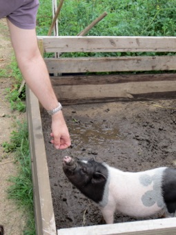 Bill plays with the piggy