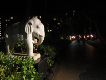 Elephant at night