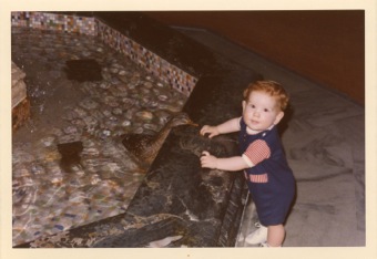 Peabody hotel ducks