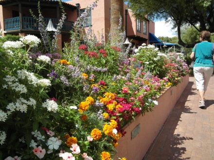 lovely flowers