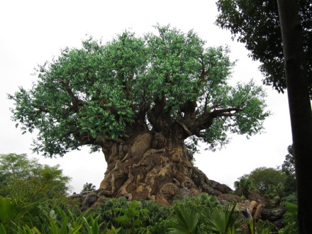 Animal Kingdom