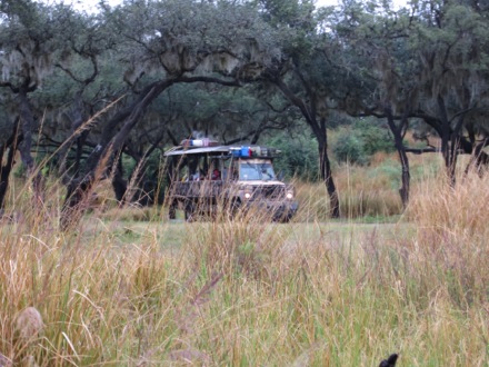 Kilimanjaro Safaris