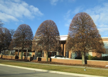 A. H. Peters Funeral Home