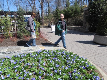 Flowers at the entrance