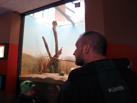 Bill observing burrowing owls