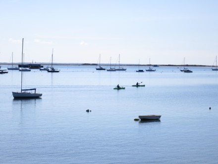 kayakers among the sailboats