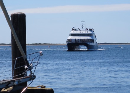 fast ferry coming in