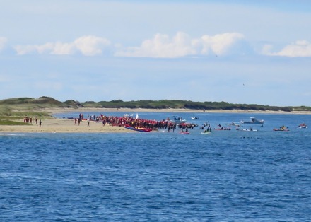 Swim for Life, ready to go