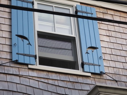 whale shutters