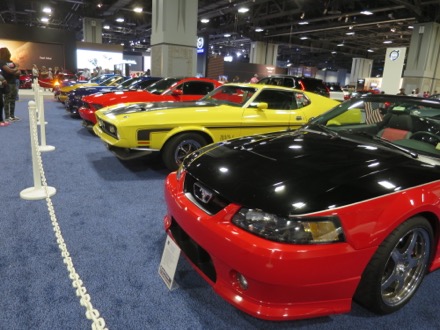 Lineup of Modern Mustangs