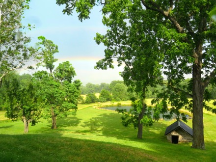 Looking out back from the patio