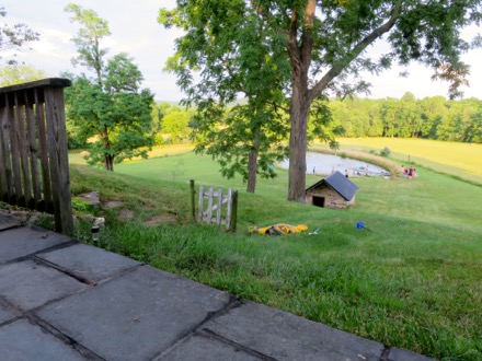 View from the Patio