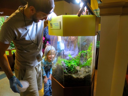 Feeding the Salamanders