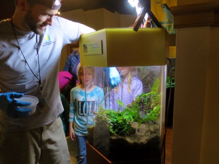 Feeding the Salamanders