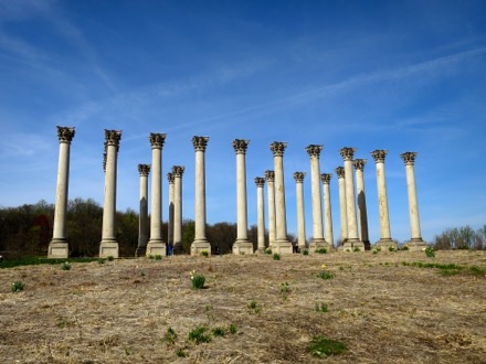 National Capitol Columns