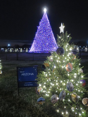 Arizona state tree