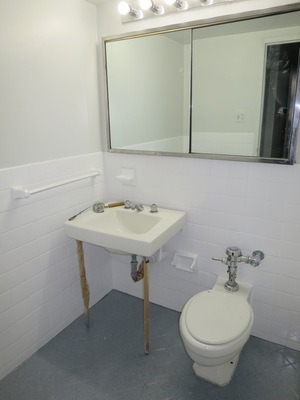 Bathroom 1