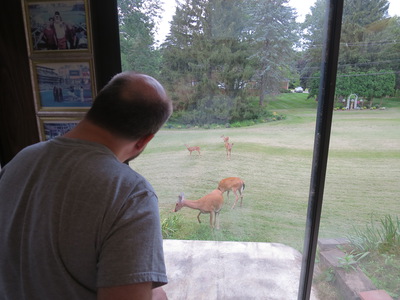 Bill feeding deer 2