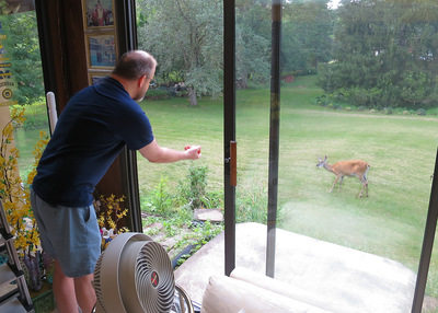 Bill feeds the deer again