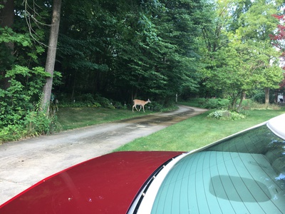 Gertrude comes out to say goodbye