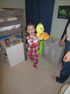 We reviewed his inventory of stuffed animals before bed.