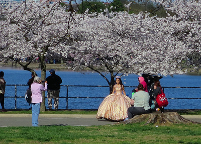 The Cherry Princess was very patient with all the people that wanted to take photos.