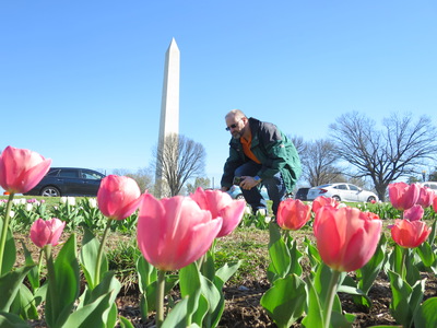 Washington Monument with Bill