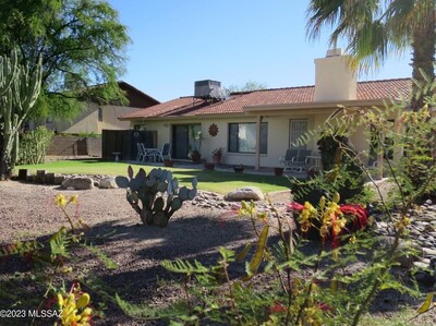 Suddenly, the grass is green and the plants are lush. This and the rest of the yard photos are mine, taken in the summer of 2014, 2015, etc.