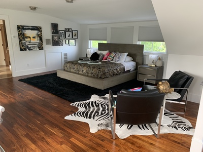 The zebra rug made a statement