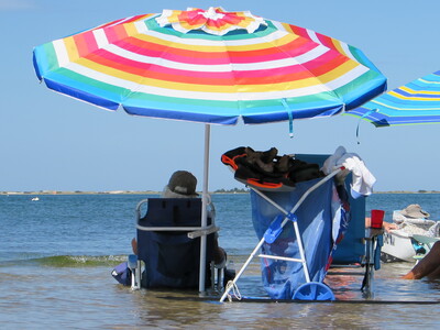 Extra high tide means some wet butts