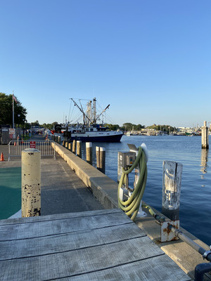 Hyannis Harbor