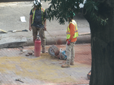 I had to scootch over so I could see the guys with the concrete saw behind the tree.