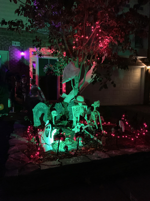 Spooky skeleton yard