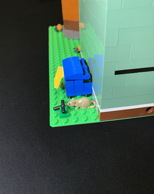 A rat stole a pipe...