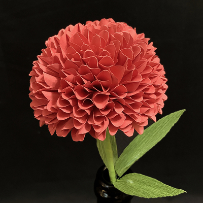 Red Ball Dahlia