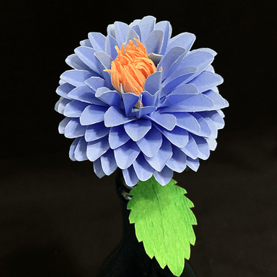 Blue Dahlia
