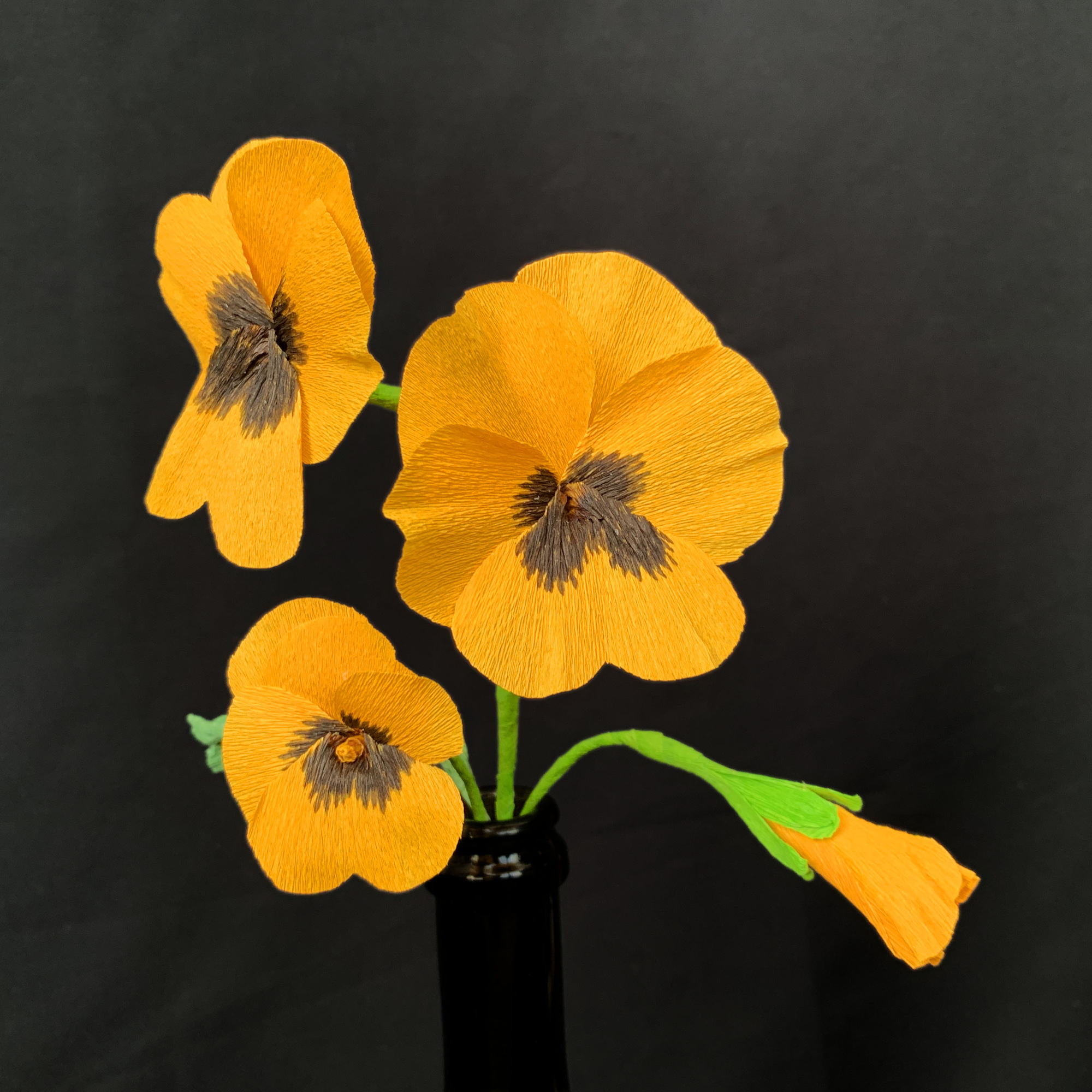 Orange Pansy