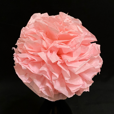 Pink Pom Pom