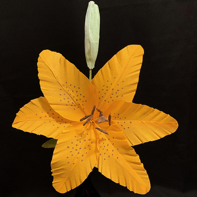 Tiger Lily