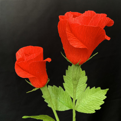 Red Rose Bud