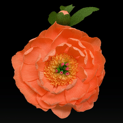 Coral Supreme Peony