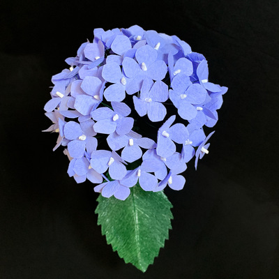 Blue Hydrangea